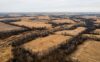 Aerial view of a golden Minnesota autumn landscape with bare trees, representing seasonal storage areas in Minneapolis.